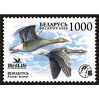 Марка "Серый гусь"