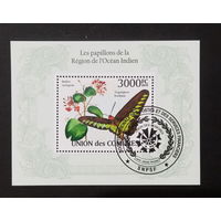 ФАУНА БАБОЧКИ НАСЕКОМЫЕ ЦВЕТЫ    БЛОК  сто