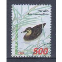 [2440] Индонезия 1998. Фауна.Птицы.Утка. Гашеная марка.