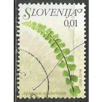 Словения. Цветы. Калифорнийская щитовка. 2007г. Mi#609.