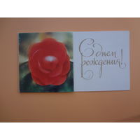 С днем рождения!  Цветок.  Харьков.