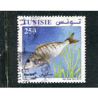 Тунис. Морская фауна. Рыбы