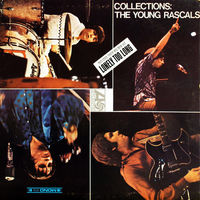 Young Rascals - Collections - LP - 1967