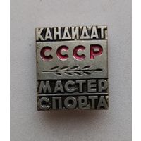 Кандидат в мастера спорта СССР тяжелый