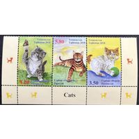 Таджикистан 2018 Фауна Кошки **