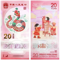 G Китай 20 юаней 2025 год ЗМЕИ китайский гороскоп полимер UNC