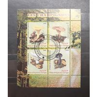 Конго. 2009 год. Флора. Грибы. Блок (1008)