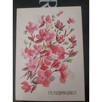 Соколова Поздравляю