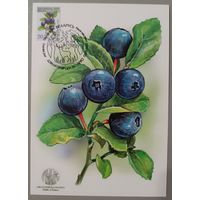 Картмаксимум "Черника". Дикая природа Беларуси.