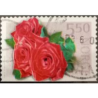 Норвегия. Флора. Цветы. Розы