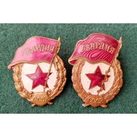 Знак Гвардия 2 шт. с 1 рубля.
