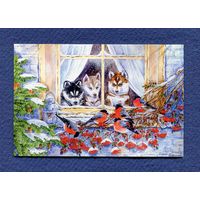 Бессонова Олеся - Снегири, Хаски - Чистая