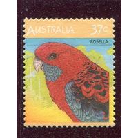 Австралия. Фауна. Попугай