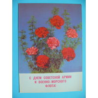 Круцко Б., С днем СА и ВМФ! 1989, чистая.