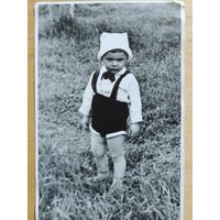 Фото в коллекцию