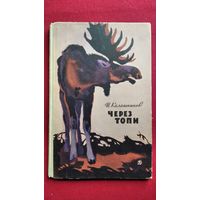 И. Калашников. Через топи