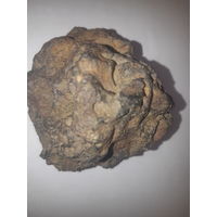 Метеорит железокаменный предположительно