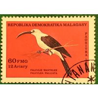 Мадагаскар 1986. Фауна. Falculie Mantelee