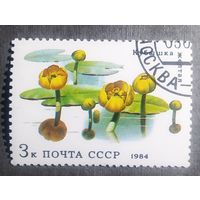 Марка СССР 1984 год Водные растения