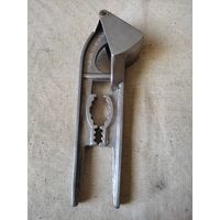 Чесночница, Россия, Белгород. См. описание.