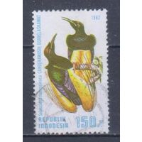 [385] Индонезия 1982. Фауна.Райские птицы. Гашеная марка.