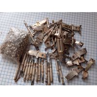 Посеребренка