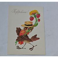 Поздравляю   !  открытка