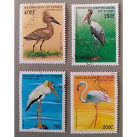 Птицы. Чад, 1998