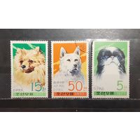 Корея. 1977 год. Фауна. Собаки (1321)