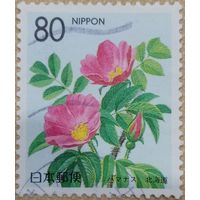 Япония. Флора. Цветы