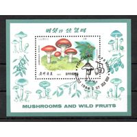 Грибы КНДР 1989 год 1 блок