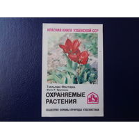 Календарик 1986 г.  Красная книга Уз.ССР.  Тюльпан Фостера.
