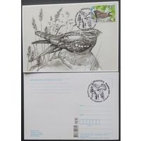 Беларусь 2021 КМ птица года, козодой обыкновенный.