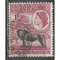 Кения Уганда и Танганьика. Королева Елизавета II. Лев. 1954г. Mi#100.
