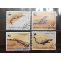 Конго. Фауна. Крокодилы (1095)