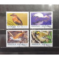 Ангола. 1999 год. Фауна. Птицы (1254)