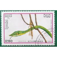 Кампучия 1988. Фауна. Змеи. Drypphis nasuta
