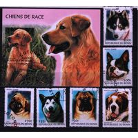 2000 Бенин фауна млекопитающие собаки Блок+6х-марок Гашеные