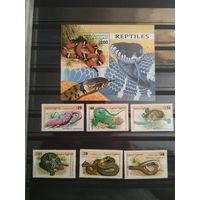 Сахара 1998 г. Рептилии.