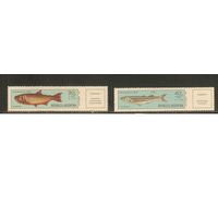 Аргентина-1971(Мих.1079-1080) , **  , Морская  Фауна, Рыбы (полная серия)