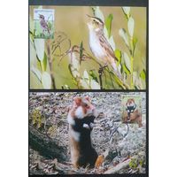 Беларусь 2021 КМ Исчезающие виды национальной дикой природа, тираж 27 экз.