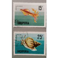 Морские обитатели. Албания, 1968