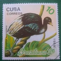 Куба 1989. Фауна. Птицы. Psophia Leucoptera. Марка из серии