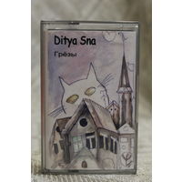 DITYA SNA Грезы редкий исполнитель на белорусском языке. Не упустите!!!