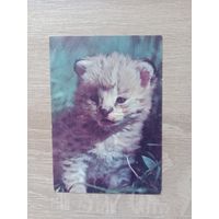 Календарик 1992