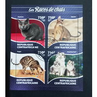 ФАУНА КОШКИ ПОРОДЫ КОШАК ЖИВОТНЫЕ     БЛОК  сто