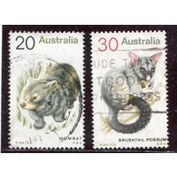 Австралия. Фауна