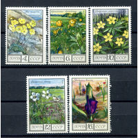 СССР - 1975г. - Цветы - полная серия, MNH, одна марка с небольшим повреждением [Mi 4428-4432] - 6 марок