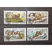 Монголия. 1986 год. Фауна. Пушные звери (4 марки)