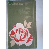 Практикум по цветоводству